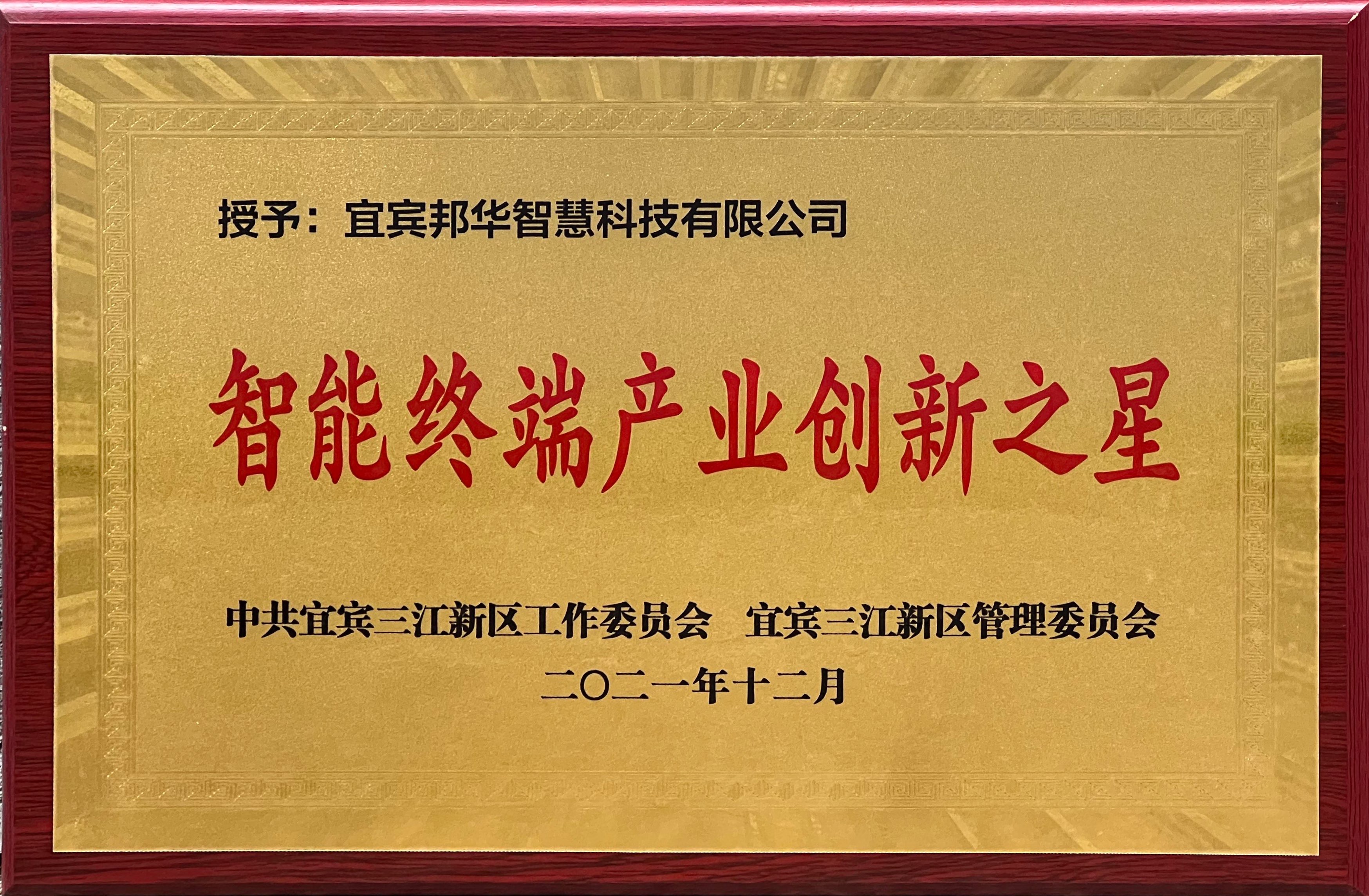 智能终端产业创新之星